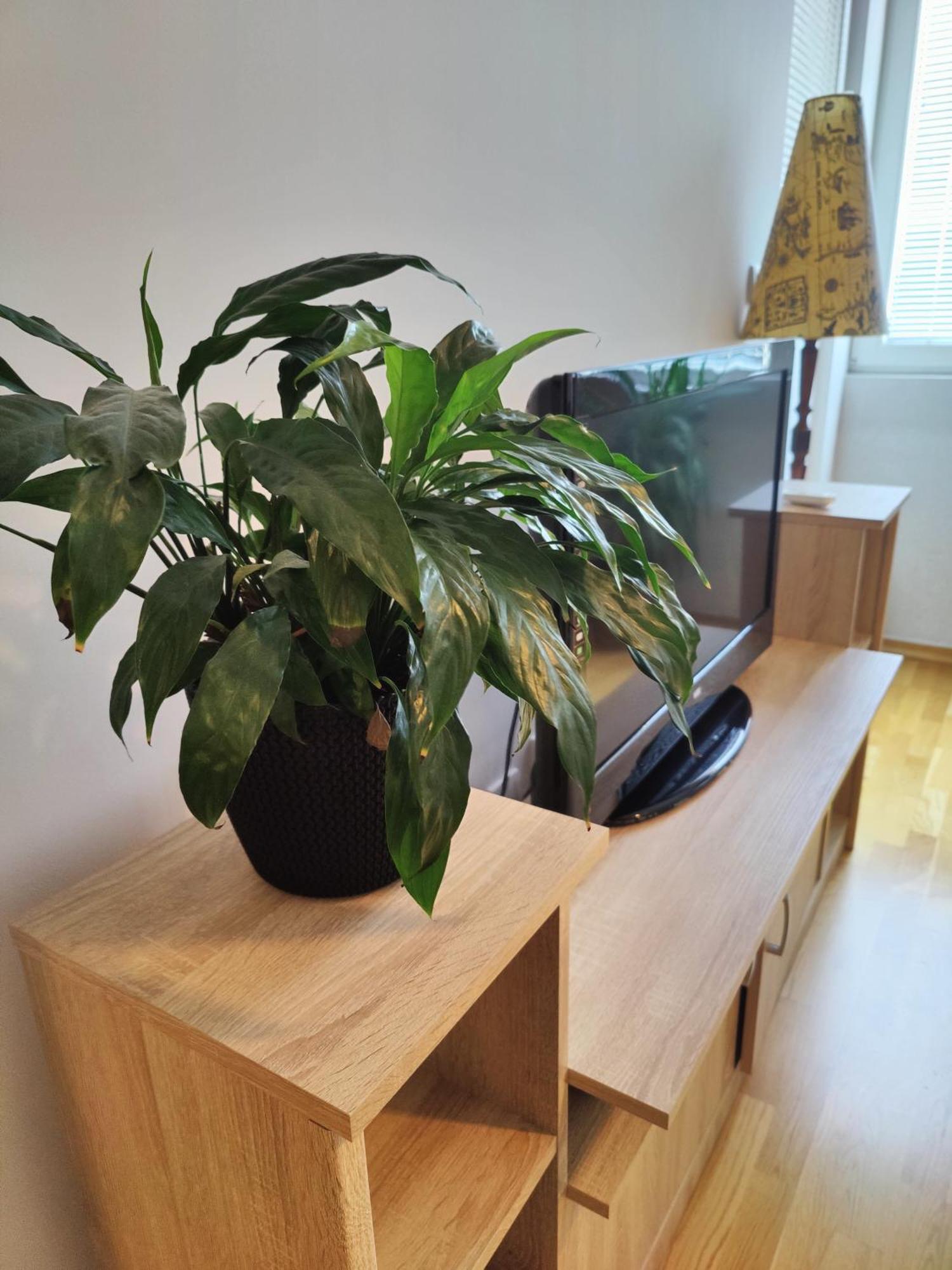 Ni Apartman Aleksic מראה חיצוני תמונה